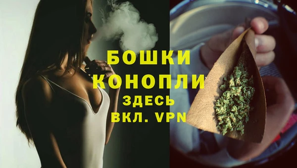 соль ск Вяземский