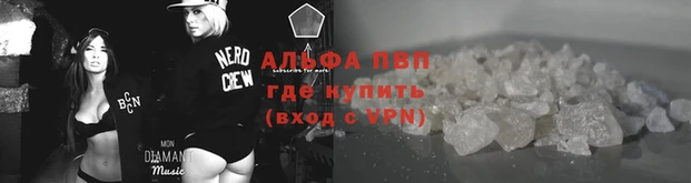 mdpv Медвежьегорск
