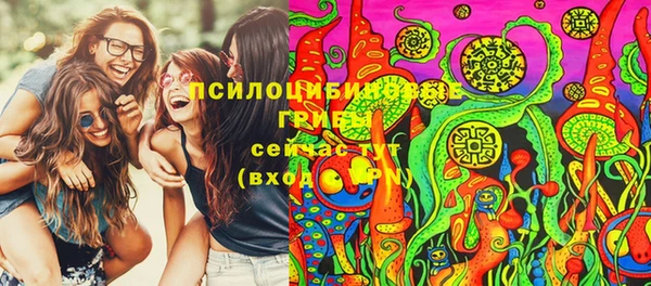 хмурый Надым