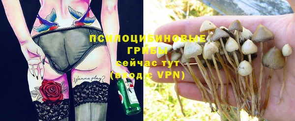 mdpv Медвежьегорск