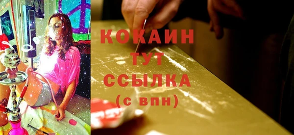 mdpv Медвежьегорск