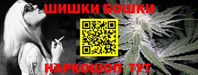 индика Владикавказ
