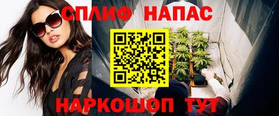 гидра Заволжье