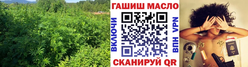 МЕГА вход Кемерово ТГК концентрат как найти