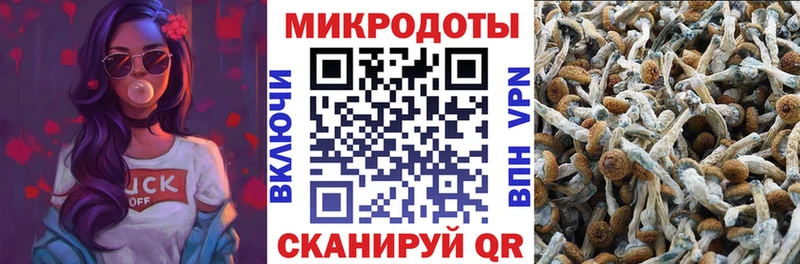 hydra ссылка  Кемерово  Псилоцибиновые грибы ЛСД  купить наркоту 