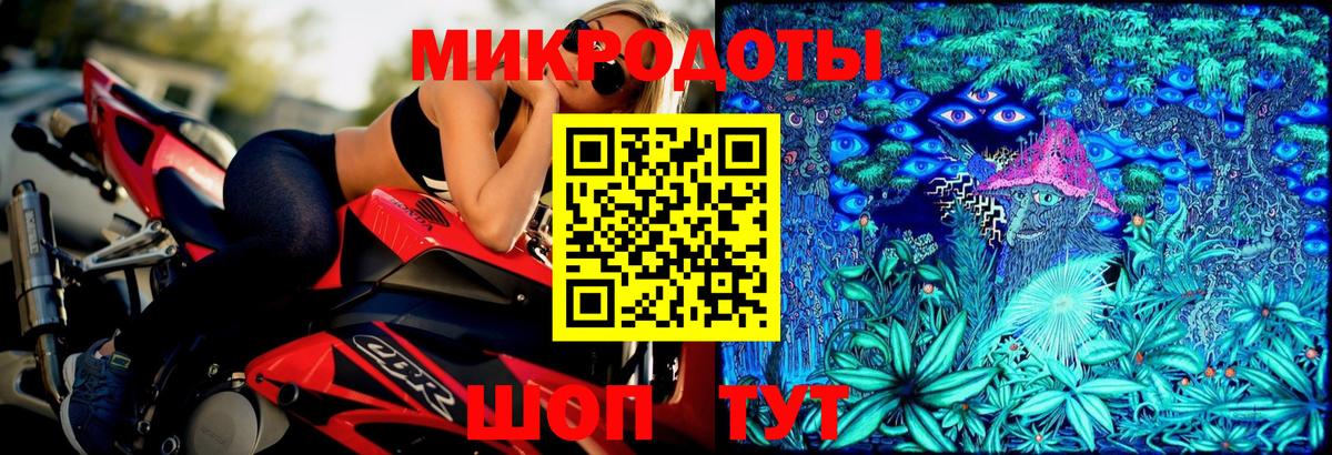 Псилоцибиновые грибы Psilocybe Россия